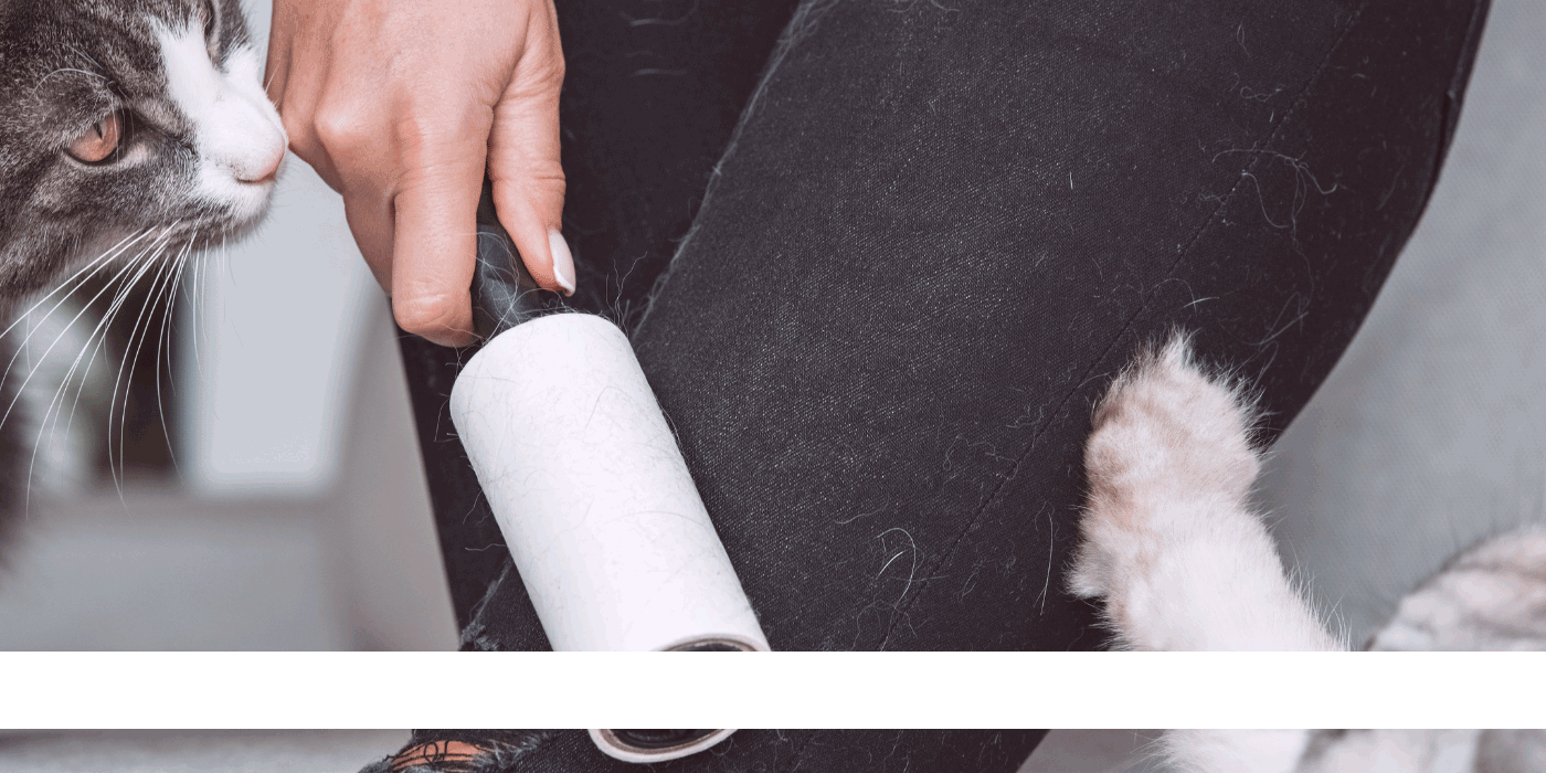 pet hair