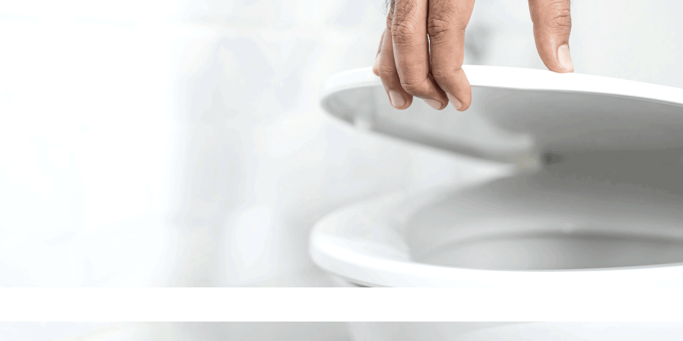 Toilet Seat