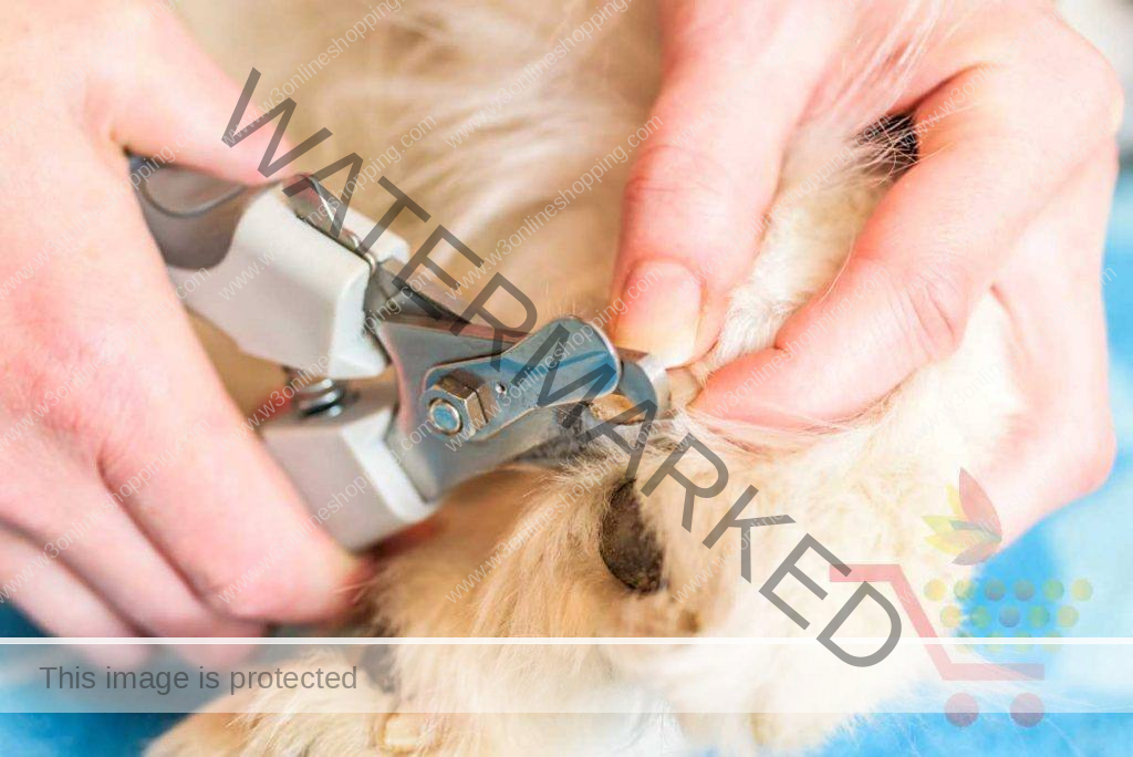 dog clippers