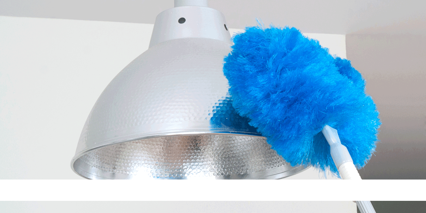 Extendable Duster