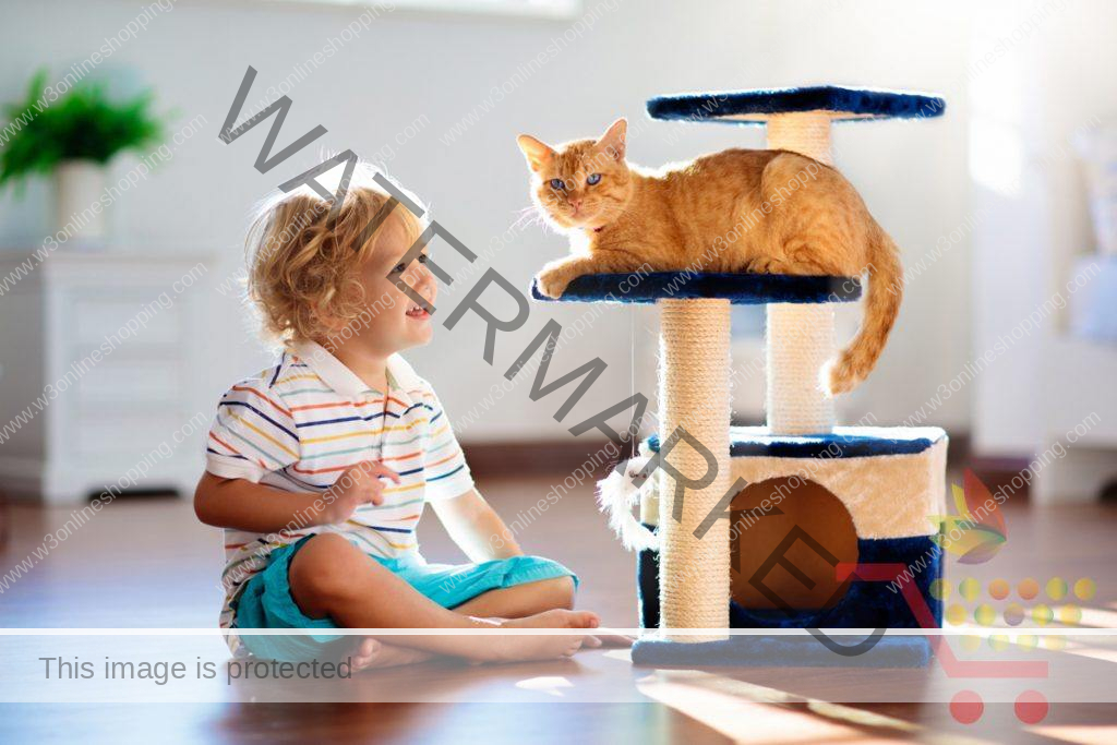 Modern cat furniture