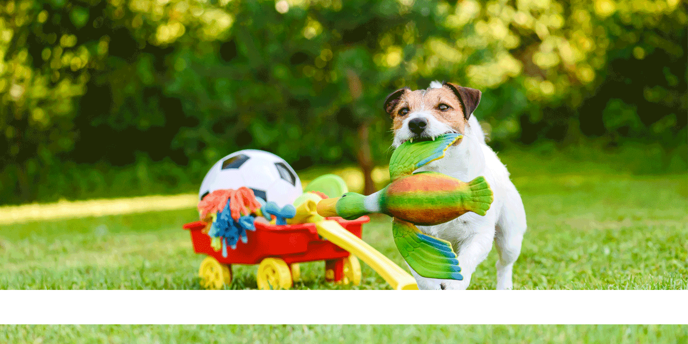 pet toys