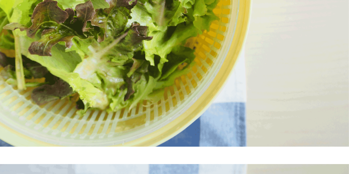commercial salad spinner