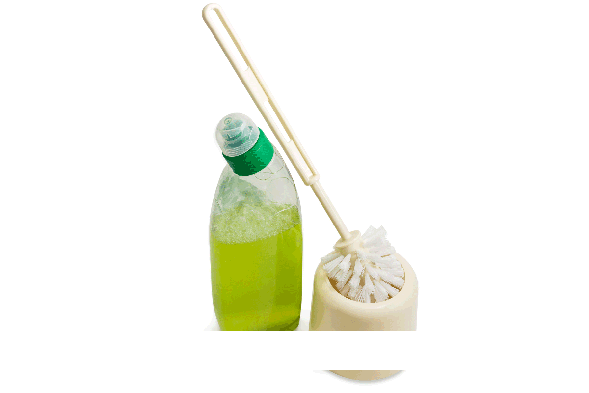 how to disinfect toilet brush