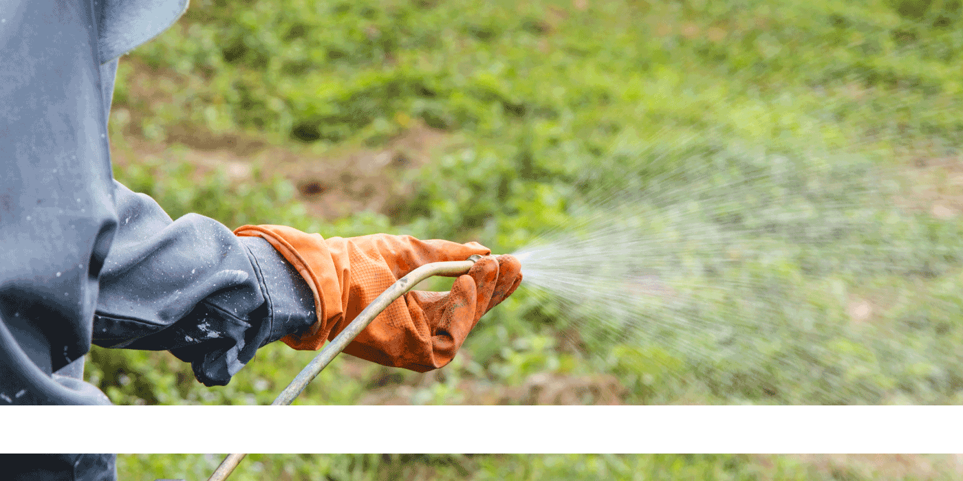 does vinegar kill weeds
