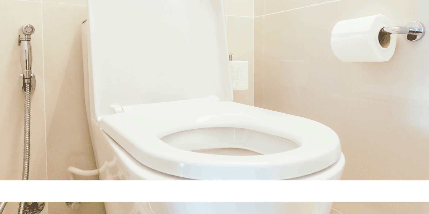 how often should you replace your toilet seat