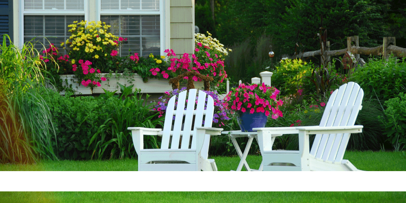 healthy lawn