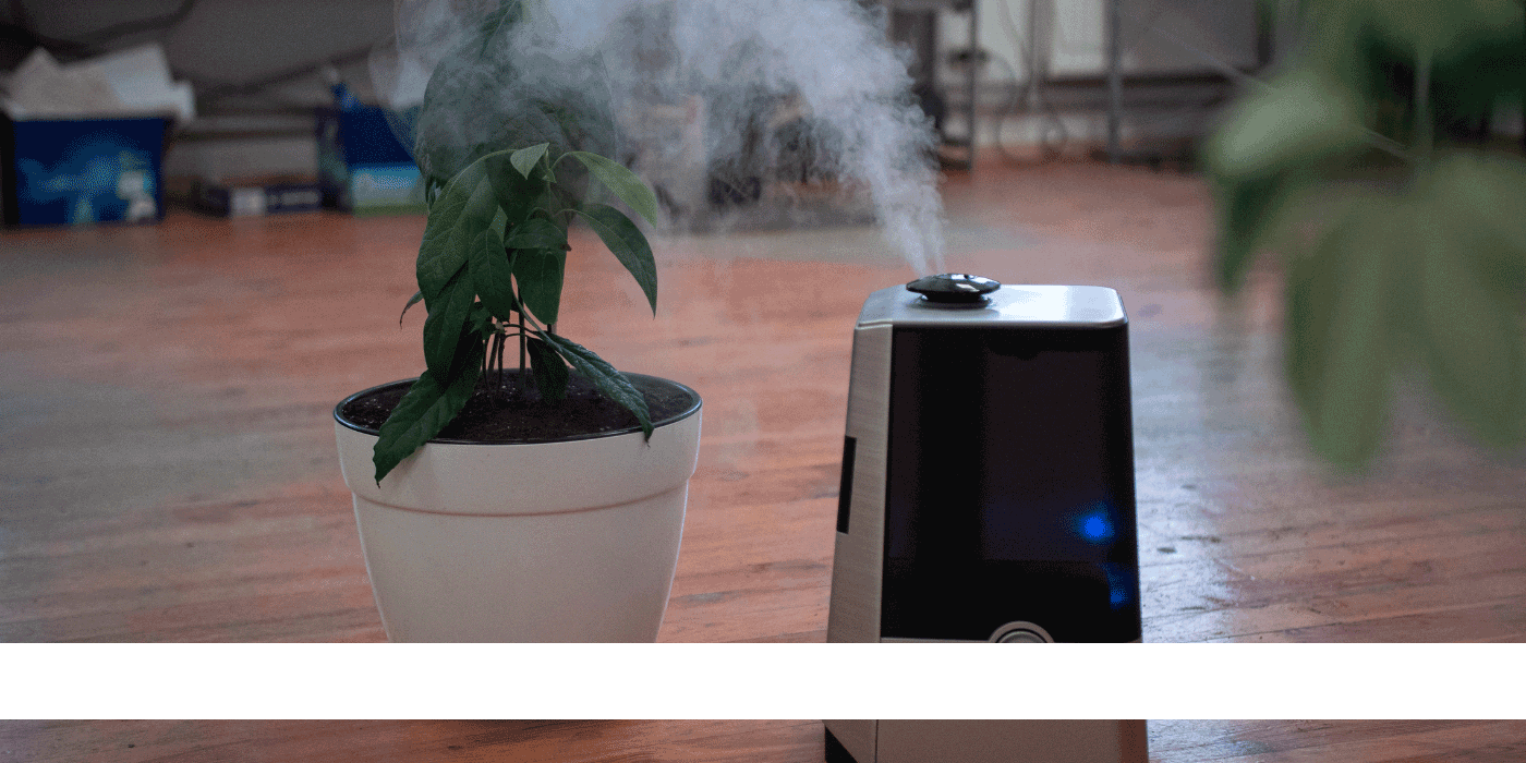 house air purifier