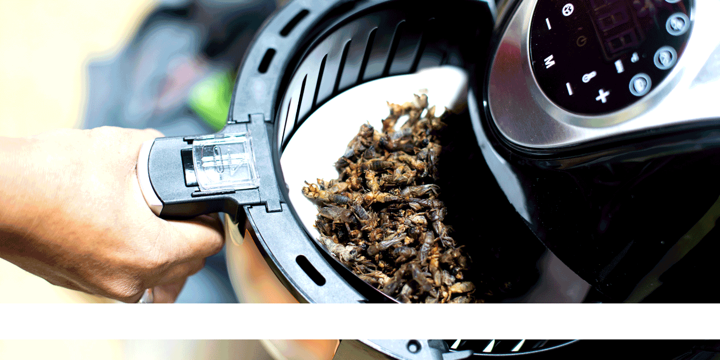 what is wrong with my air fryer