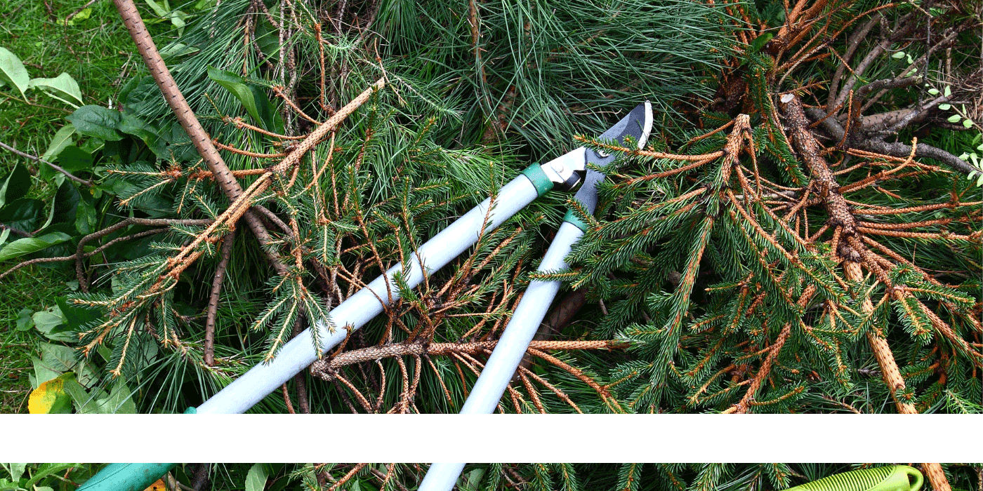 extendable loppers