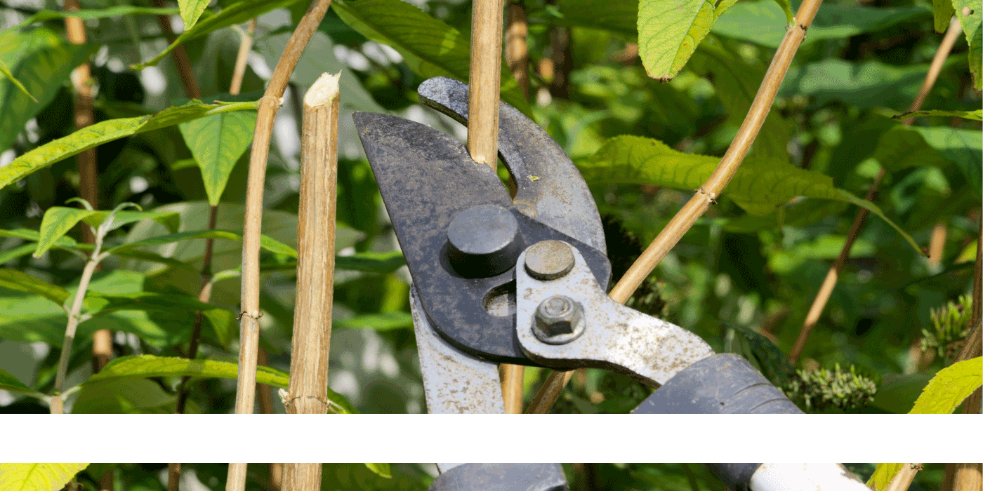 fiskars loppers