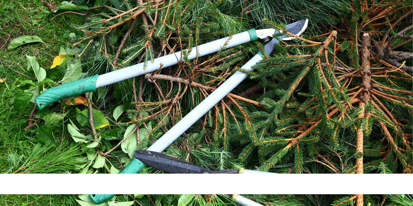 garden loppers
