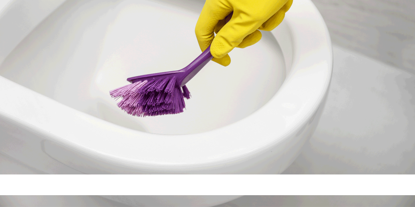 how do you clean a grey toilet bowl