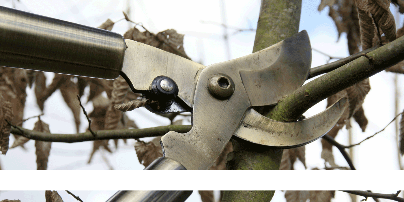 replacement blades for fiskars loppers