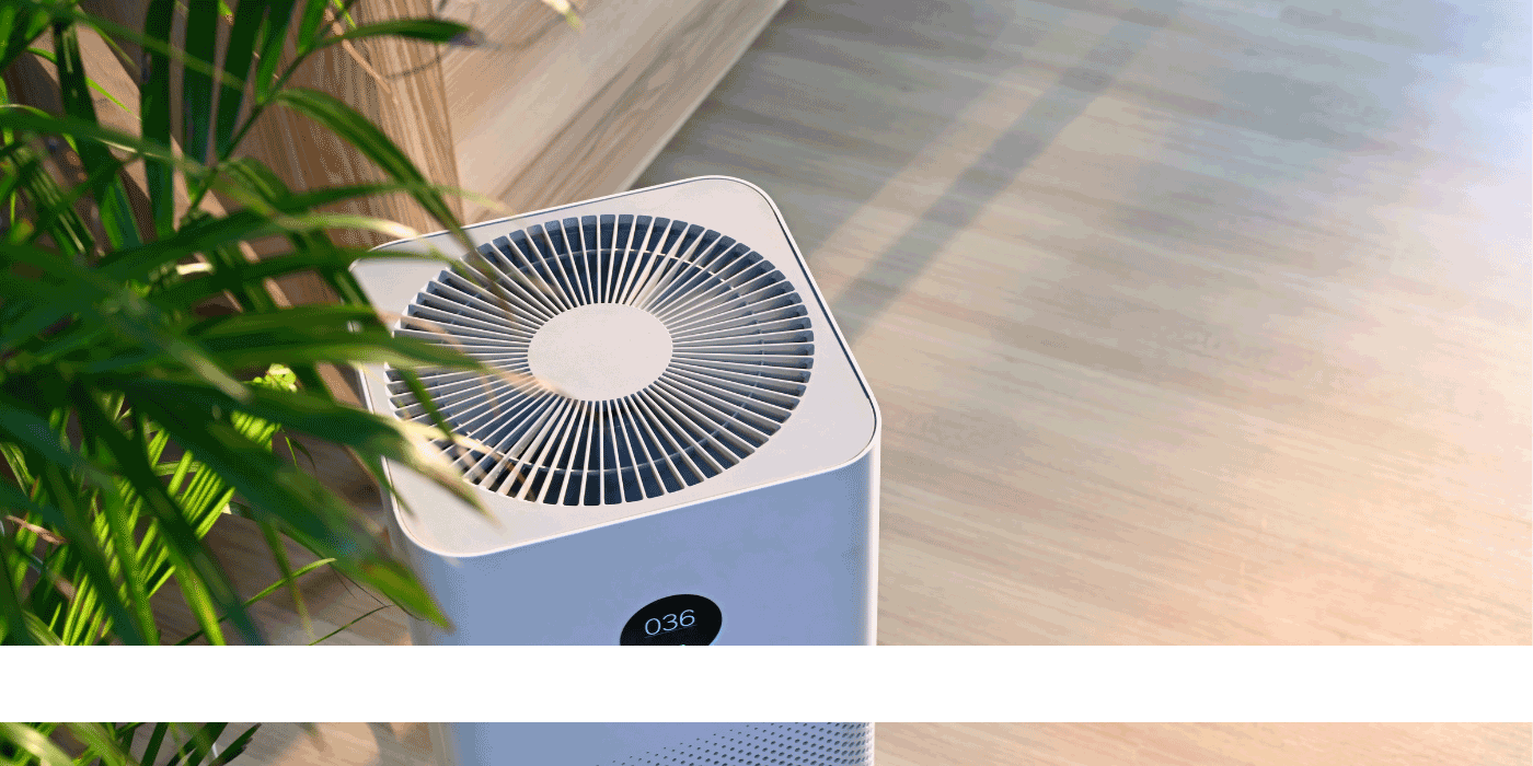 are air purifiers necessary