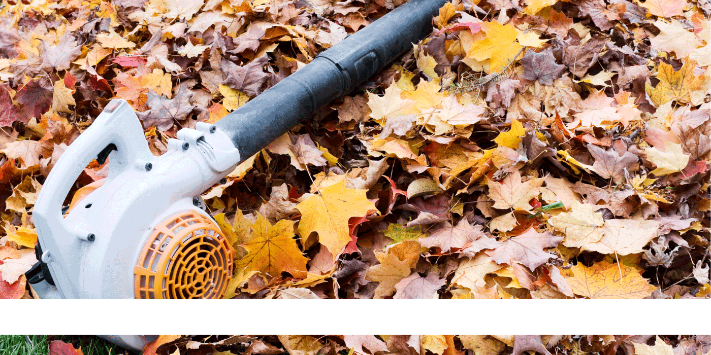dewalt leaf blower