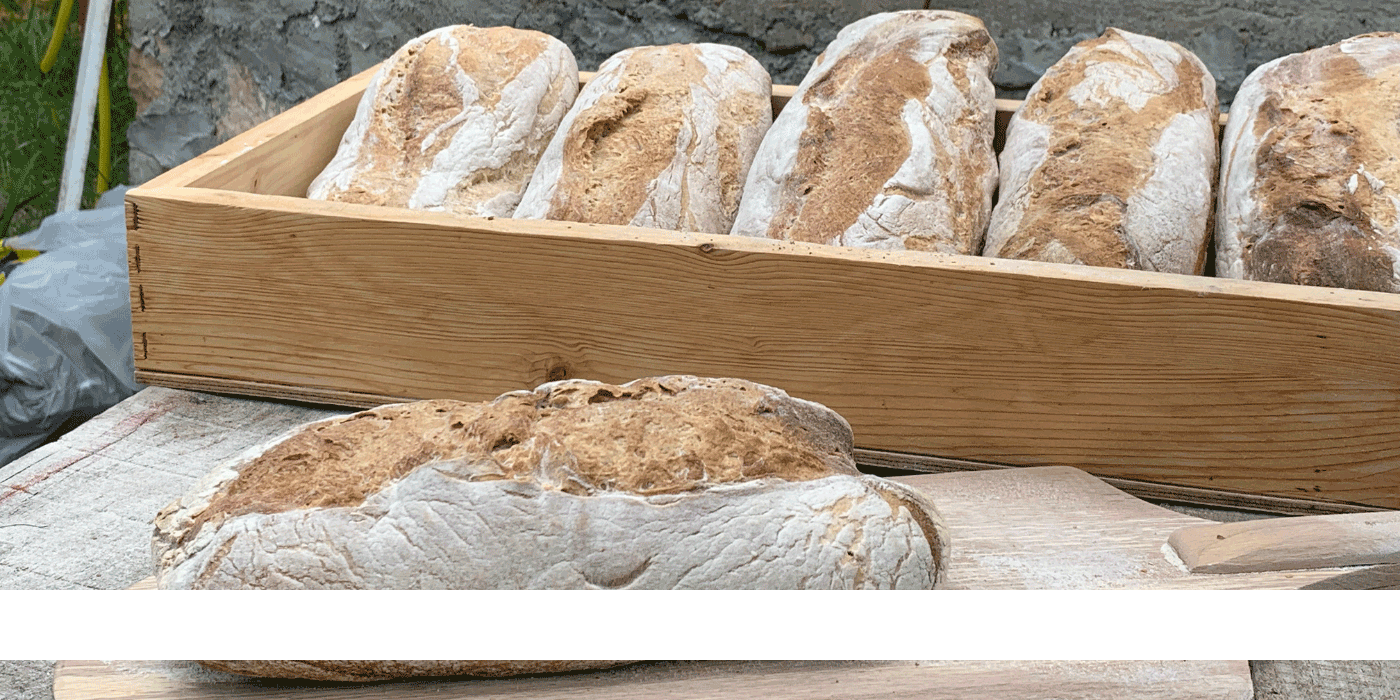sourdough bread
