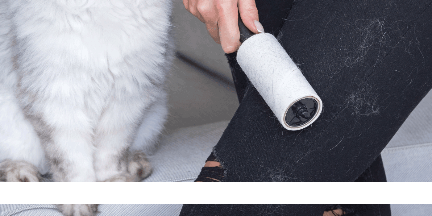 do you have tips for removing pet stains from fabric