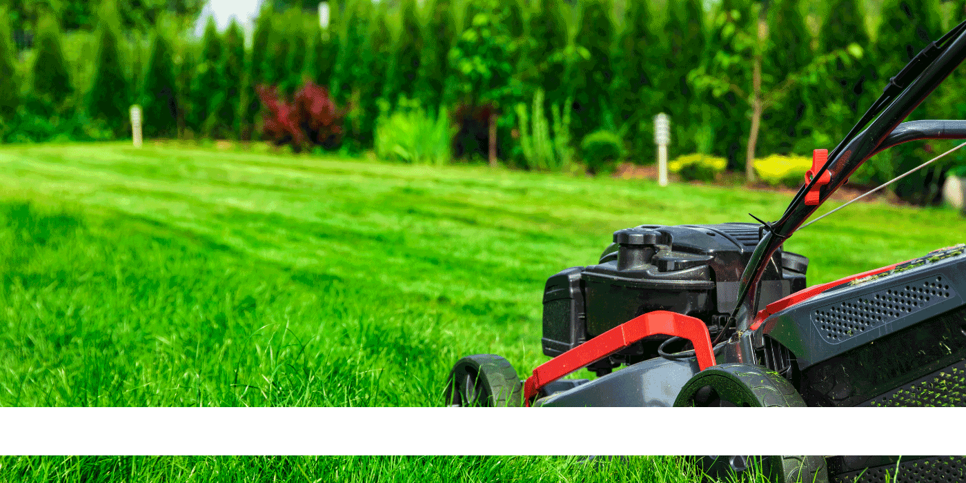 Best Lawn Sweeper For Grass Clippings