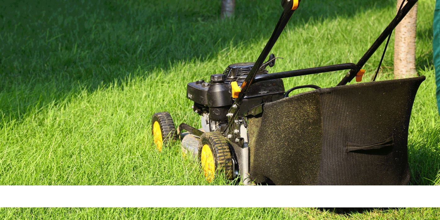best lawn sweeper